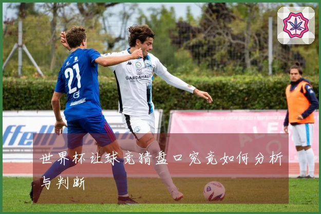 世界杯让球竞猜盘口究竟如何分析与判断