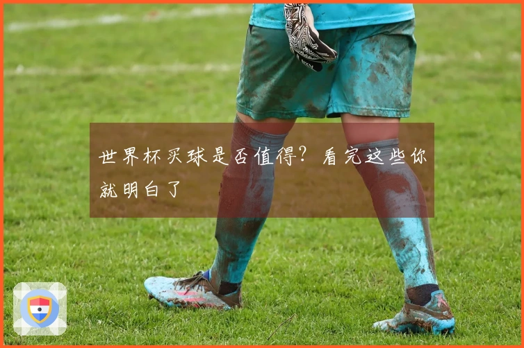 世界杯买球是否值得？看完这些你就明白了