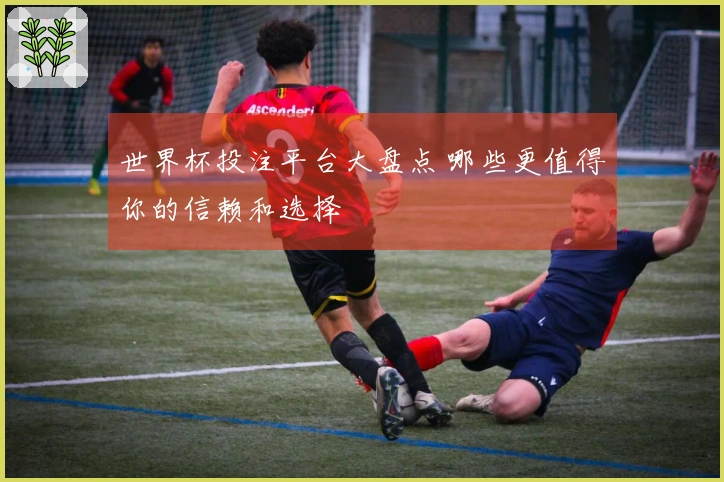 世界杯投注平台大盘点 哪些更值得你的信赖和选择