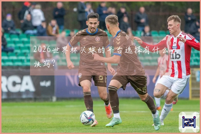 2026世界杯买球的平台选择有什么诀窍？