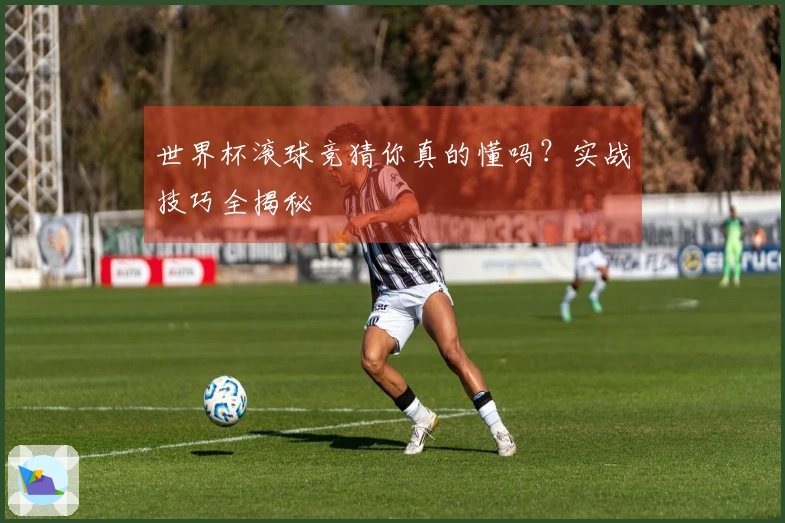 世界杯滚球竞猜你真的懂吗？实战技巧全揭秘