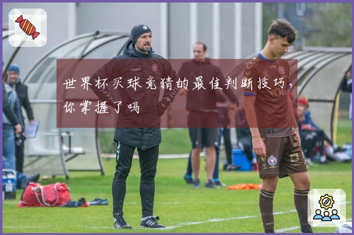 世界杯买球竞猜的最佳判断技巧，你掌握了吗