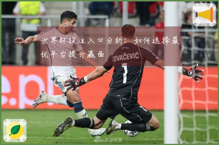 世界杯投注入口分析：如何选择最优平台提升赢面