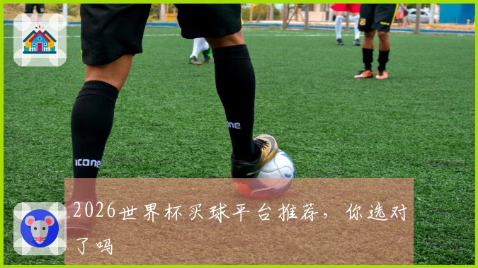 2026世界杯买球平台推荐，你选对了吗