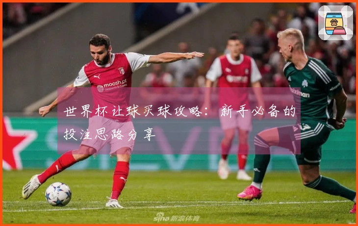 世界杯让球买球攻略：新手必备的投注思路分享