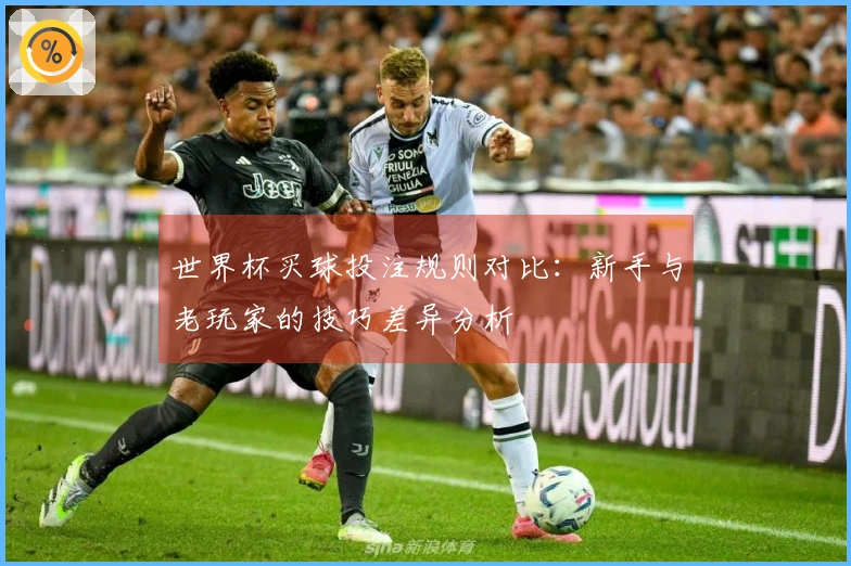 世界杯买球投注规则对比：新手与老玩家的技巧差异分析