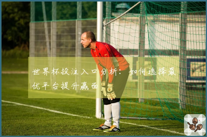 世界杯投注入口分析：如何选择最优平台提升赢面