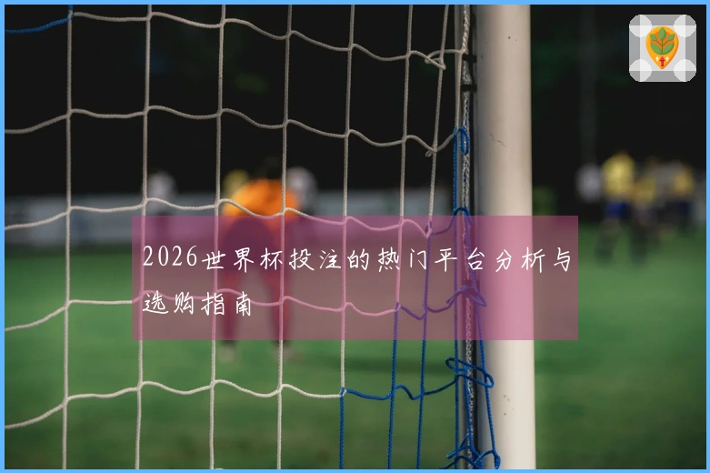 2026世界杯投注的热门平台分析与选购指南