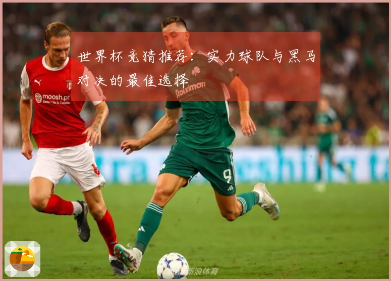 世界杯竞猜推荐：实力球队与黑马对决的最佳选择
