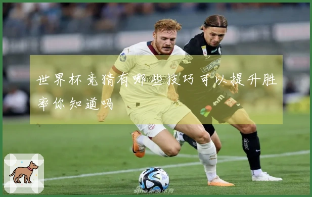 世界杯竞猜有哪些技巧可以提升胜率你知道吗